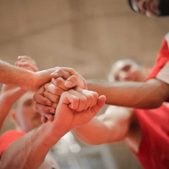 la importancia de las soft skills la importancia de las soft skills