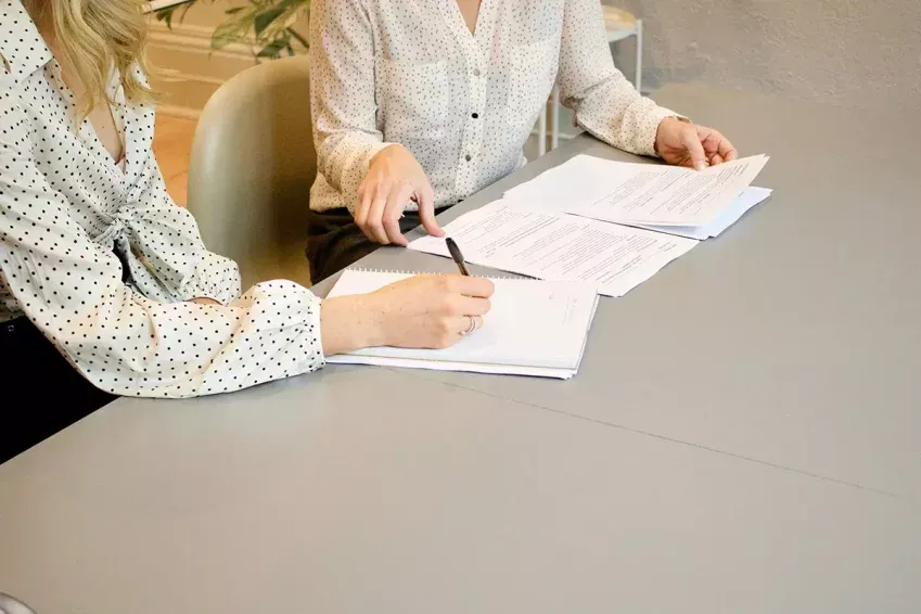 Clasificación en función del área de especialización