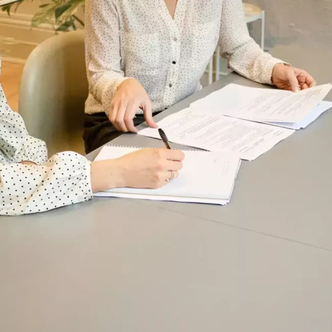 Clasificación en función del área de especialización
