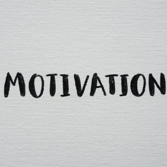 Motivación en los trabajadores Motivación en los trabajadores