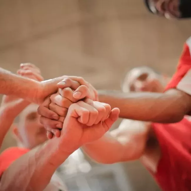 la importancia de las soft skills la importancia de las soft skills